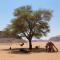Climbers House in Wadi Rum