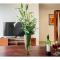 Luxury 2 Bedroom Bahia Principe Condo
