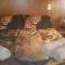 Marlothii Safari House - Marloth Park