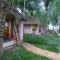 Paddy Homestay