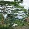 Rinjani Mountain Garden