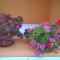 Case Vacanze Villa Lory