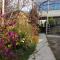 TLT Guest House