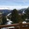 Wildererhütte Chalet Helmut - تراشر هوهي