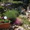 Charming dalmatian apartment with panoramic view