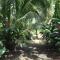 Martinique Treehouse Martinique Treehouse