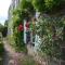Le clos de la vigne photo 23