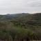 La Ceibita Tours