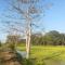 BN Resort - Ban Nong Chum Saeng
