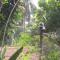 Jungle Holiday Home