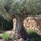 Le Clos Des Cambres