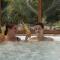 Hotel Mohr & Spa