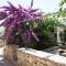 Apartments Paloc