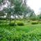Triple Eden Resort - Naivasha