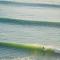Olas Experience - Tidehunter