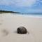 Luxury 2 Bedroom Bahia Principe Condo