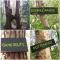 Jellys Hoeve (Adults Only)