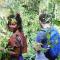Sinharaja Tranquil Homestay