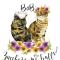 Zucchero sui Baffi- Food Lovers B&B