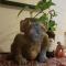 Cozy & Full Apt in Coyoacan Great for Long Stays - 墨西哥城