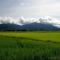 Barakah Homestay