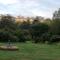 Ecrin de Verdure