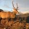 Seaview Pod and hot tub - Ballachulish