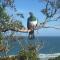 Nugget View Kaka Point Motels - Kaka Point