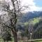 Apart Alpensonne Zillertal