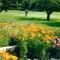 GOLF CLUB DUZES