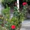 Holiday house with WiFi Zrnovo, Korcula - 4876