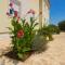 Apartments Gornje Starine