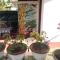 Bentota Orchid House