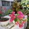 Bentota Orchid House