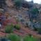 Camping Auberge Zebra