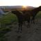 Lambastadir Guesthouse - Selfoss