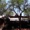 ThabaNkwe Bushveld Inn