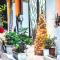 Casa Delfin Guest House