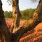 Agriturismo Terra Rossa - أوترانتو
