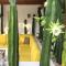 Luxury Private Villas , Private Pool, Private garden, Jacuzzi, 24hours security - Tulum