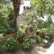 Apartments with parking space Supetar, Brac - 11278