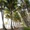 Foto: Tranquility Chill at Palm Cove 40/65