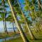 Foto: Tranquility Chill at Palm Cove 59/65