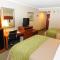Comfort Inn Anaheim Resort