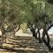 All Senses Ocean Blue Sea Side Resort - All Inclusive - Kremasti
