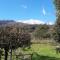 Albertos Mt.Etna B&B