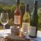 Weingut Gorges-Reinhard