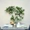 Fattoria di Rignana Winery BnB
