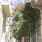 Quiet spacious apartment in Nafplio - Nafplio