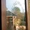 Tumbling Weir Hotel - Ottery Saint Mary